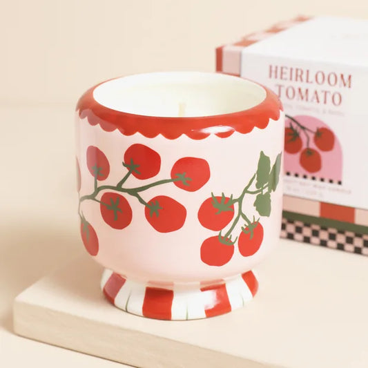 Candela Adopo Tomato Vine In Ceramica - Heirloom Tomato - Confezionato in Scatola