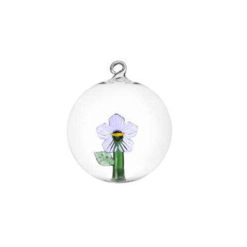 Ichendorf Palla di Natale fiore lilla botanica