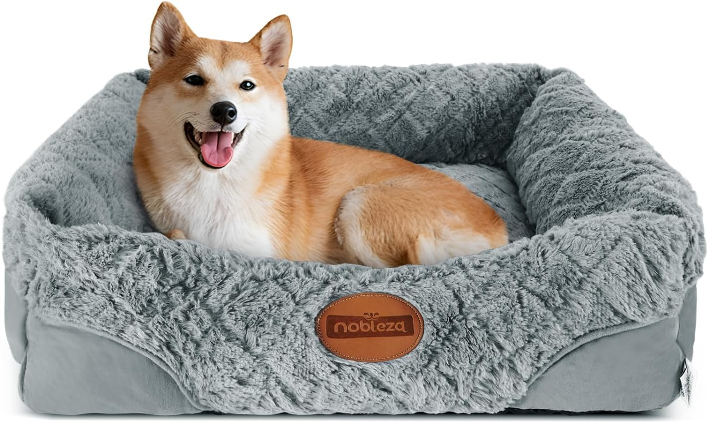 Pet Care