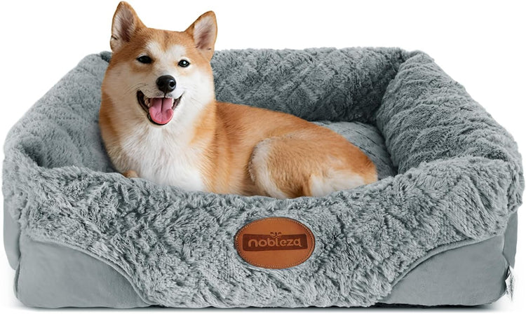 Pet Care