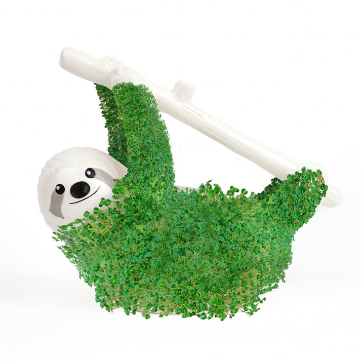 MAGS Sloth Planter – Porta Pianta Bradipo Decorativo