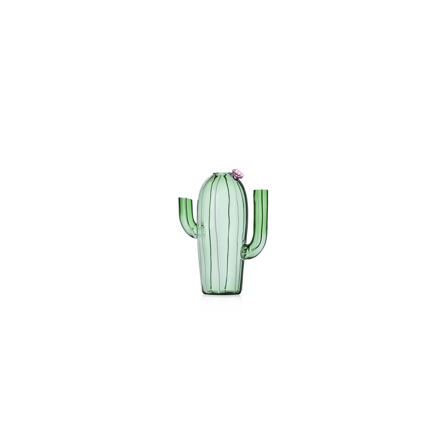 Ichendorf Brocca in vetro borosilicato a forma di cactus verde