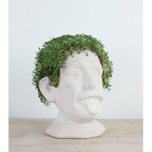 WINKEE Busto in ceramica per coltivare semi di chia