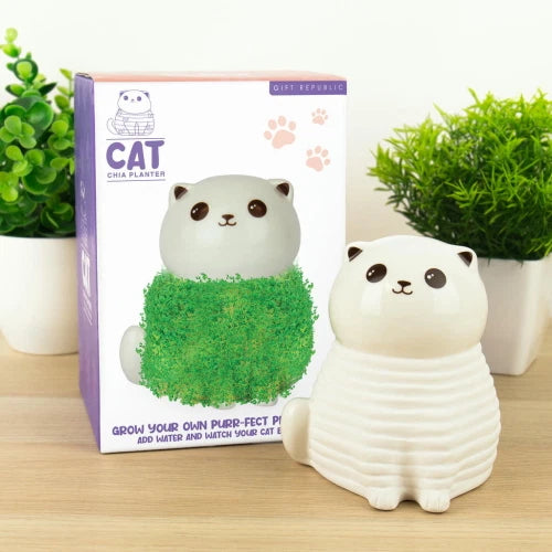 MAGS Chia Kitty Gattino Decorativo da Coltivare