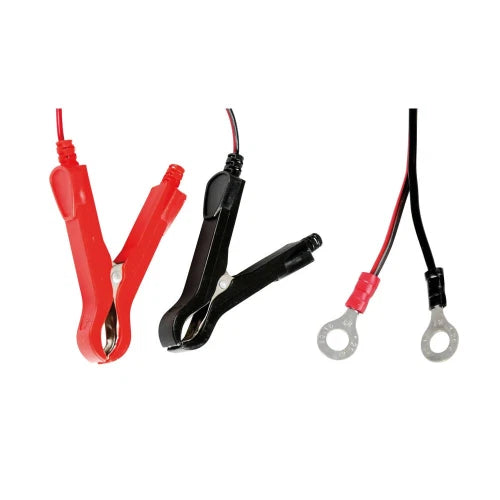 Amperomatic Bike, caricabatteria intelligente, 6/12V - 1A